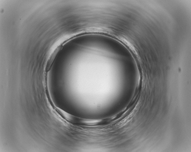 X0000088361342200705221021