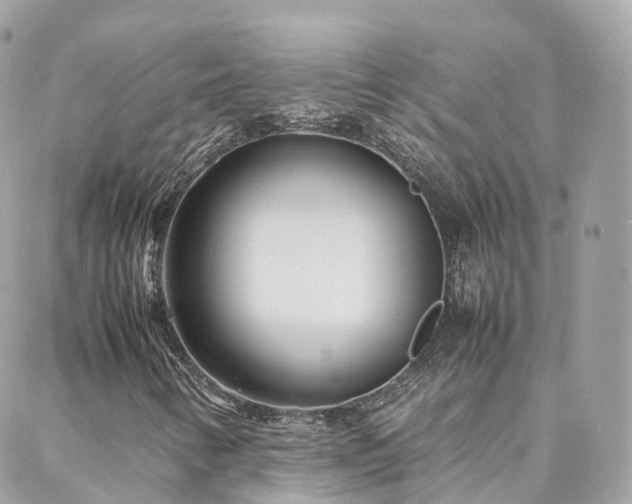X0000088361346200705221021