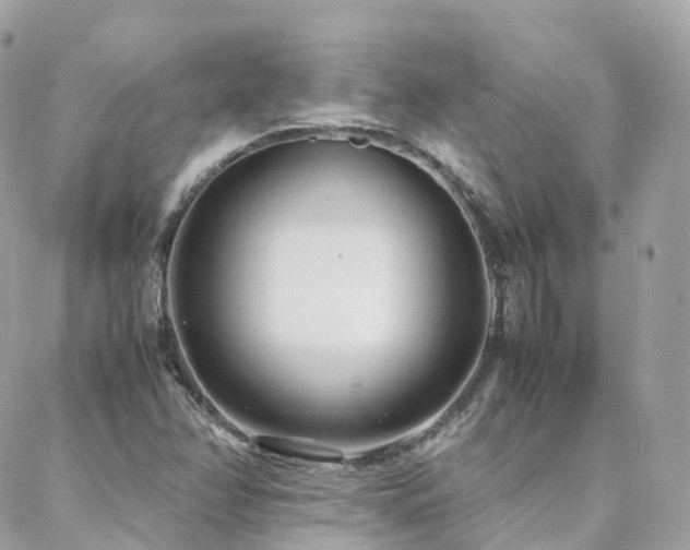 X0000088361358200705221020