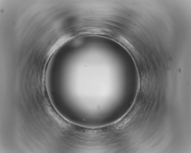 X0000088361378200705221020