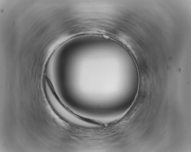 X0000088361379200705221020