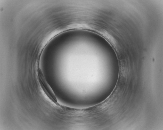 X0000088361382200705221020