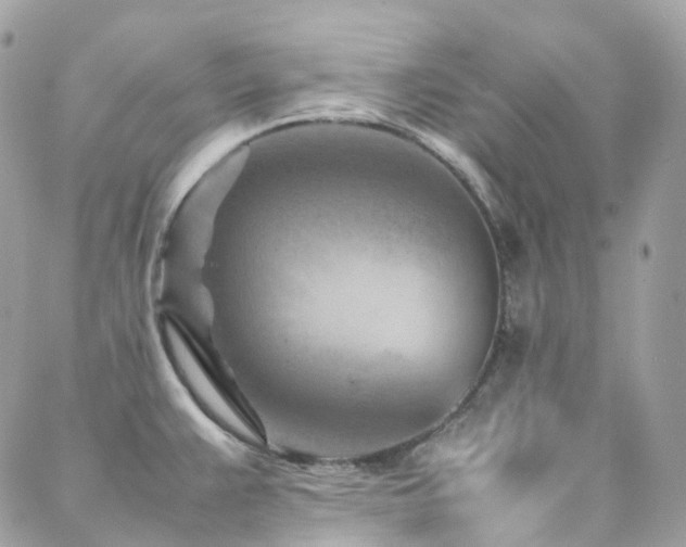 X0000088361383200705221020