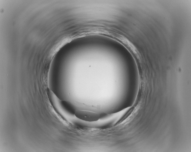 X0000088361385200705221020