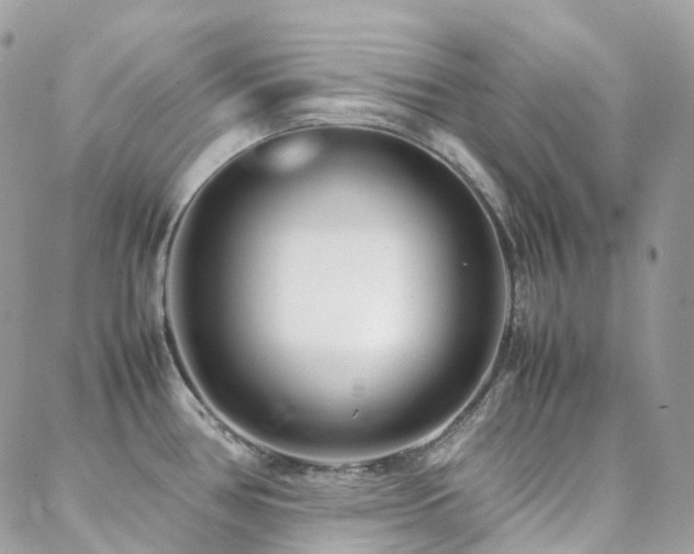 X0000088361386200705221020