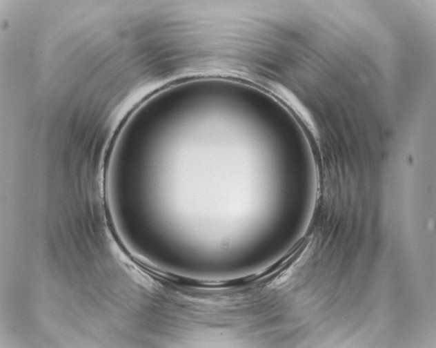 X0000088361388200705221020