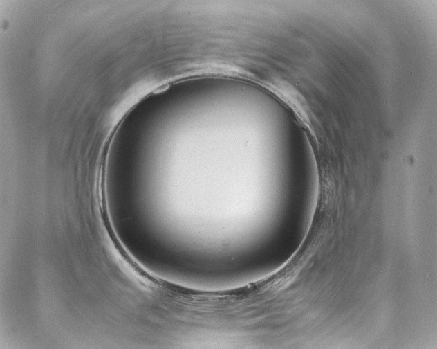 X0000088361391200705221020