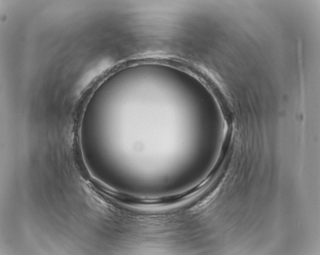 X0000088361406200705221019