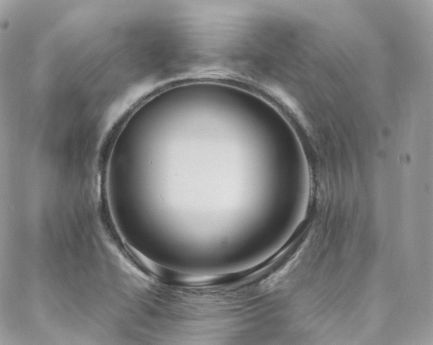 X0000088361414200705221019