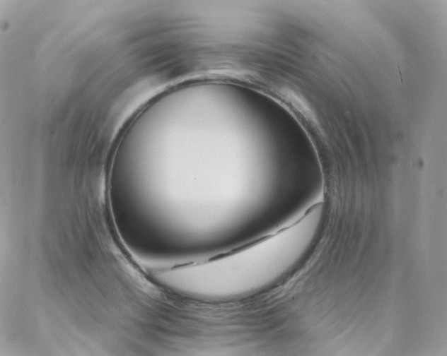 X0000088361420200705221019