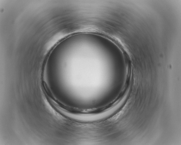 X0000088361422200705221019