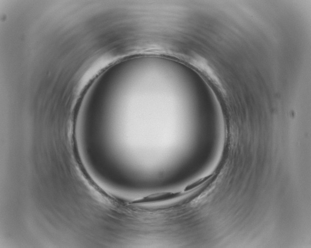 X0000088361424200705221019