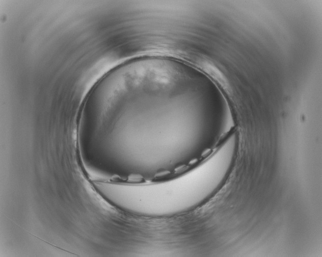 X0000088361428200705221020