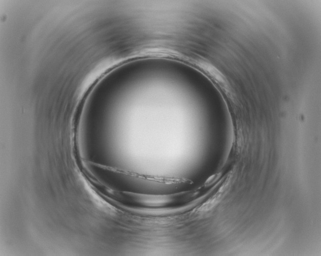 X0000088361430200705221020