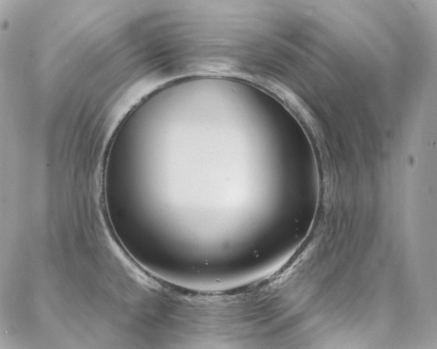 X0000088361432200705221020