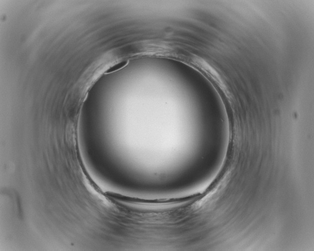X0000088361433200705221020
