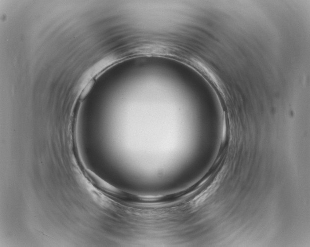 X0000088361434200705221020