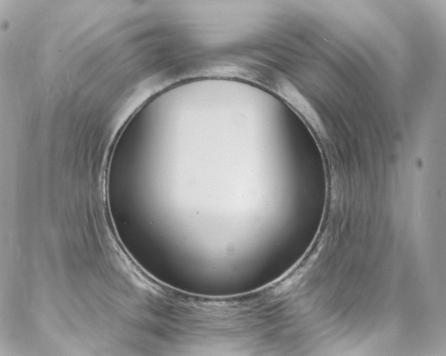 X0000088361436200705221020