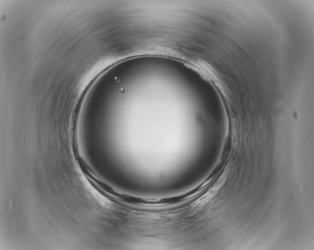 X0000088361438200705221020