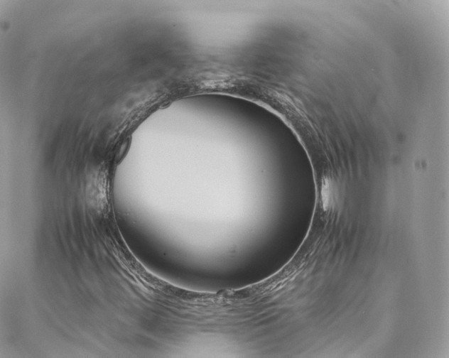 X0000088361444200705221019