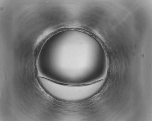 X0000088361456200705221019