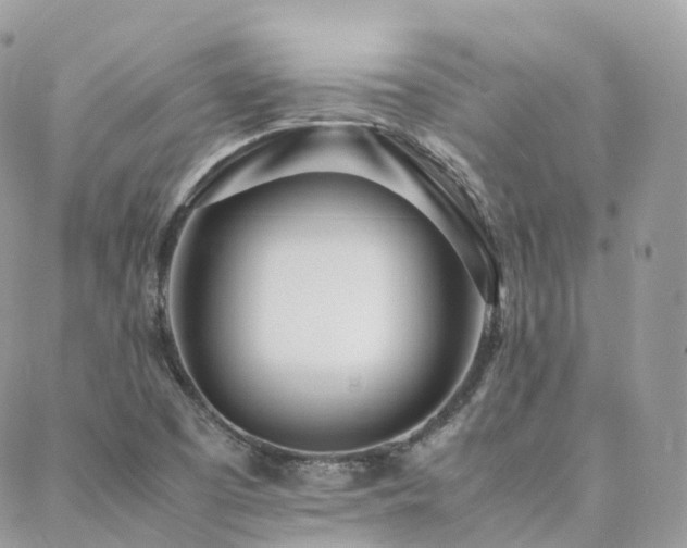 X0000088361457200705221019
