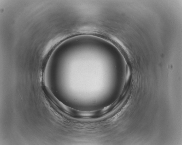 X0000088361461200705221019