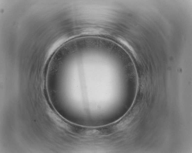 X0000088361467200705221019