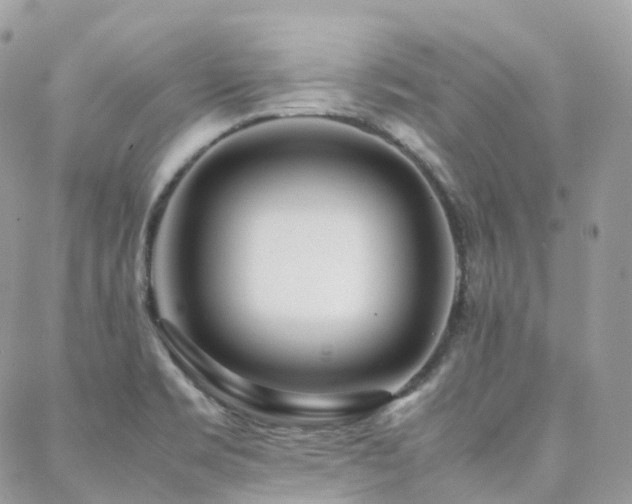 X0000088361469200705221019