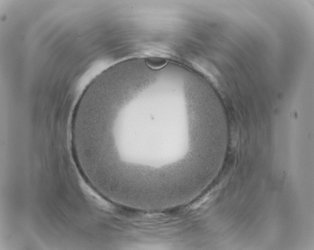 X0000088361471200705221018