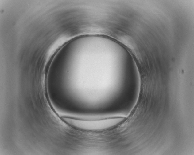 X0000088361472200705221018