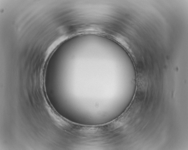 X0000088361474200705221018