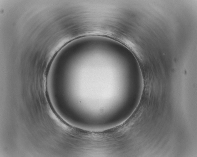 X0000088361476200705221018