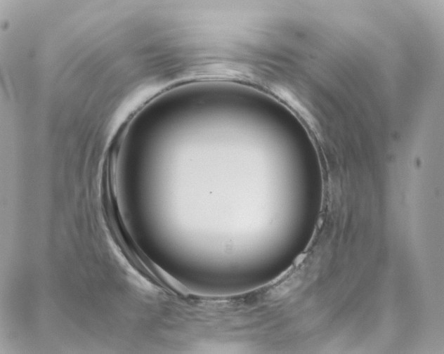 X0000088361477200705221018