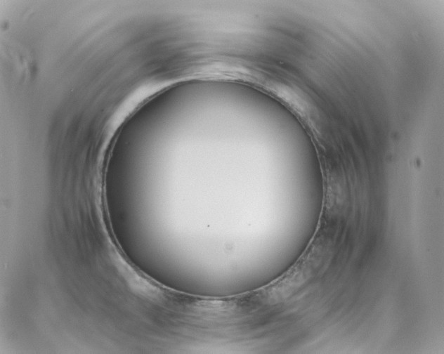 X0000088361478200705221018