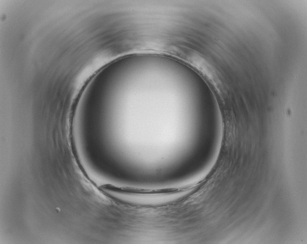 X0000088361480200705221018