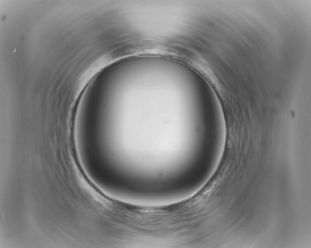 X0000088361483200705221018