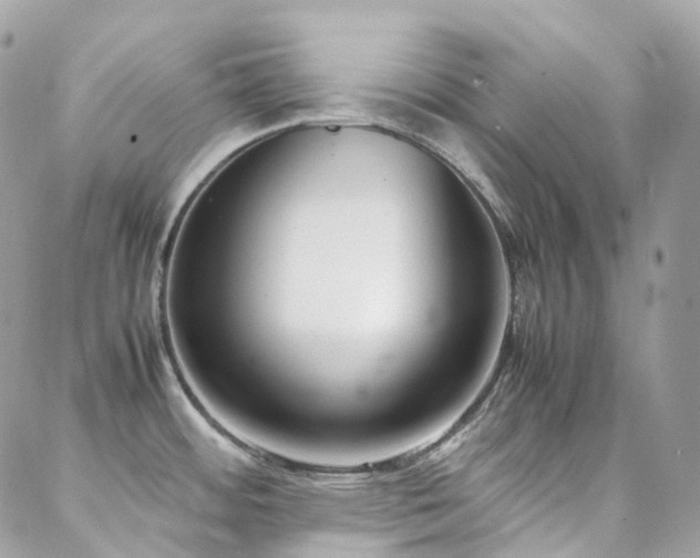 X0000088361484200705221018