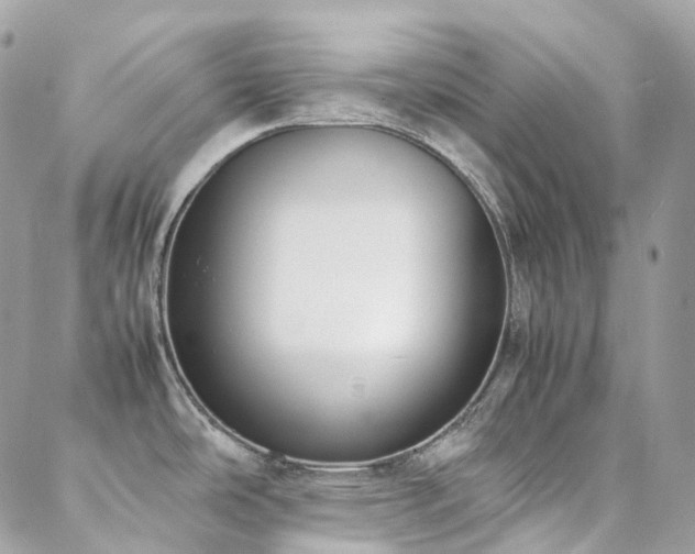 X0000088361486200705221018