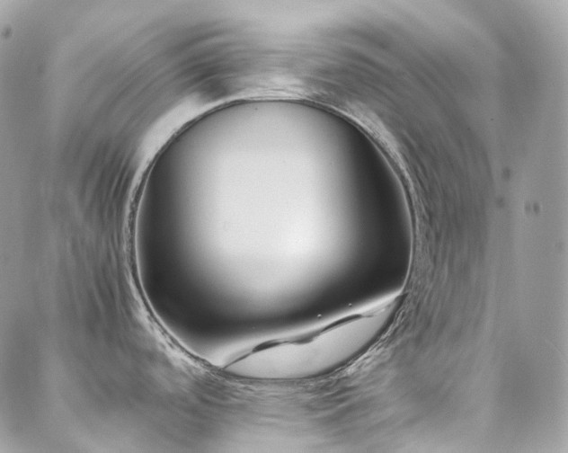 X0000088361488200705221018
