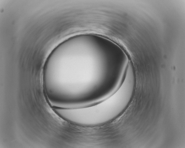 X0000088361516200705221018