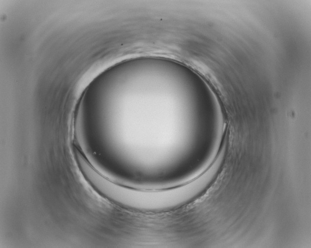 X0000088361520200705221018