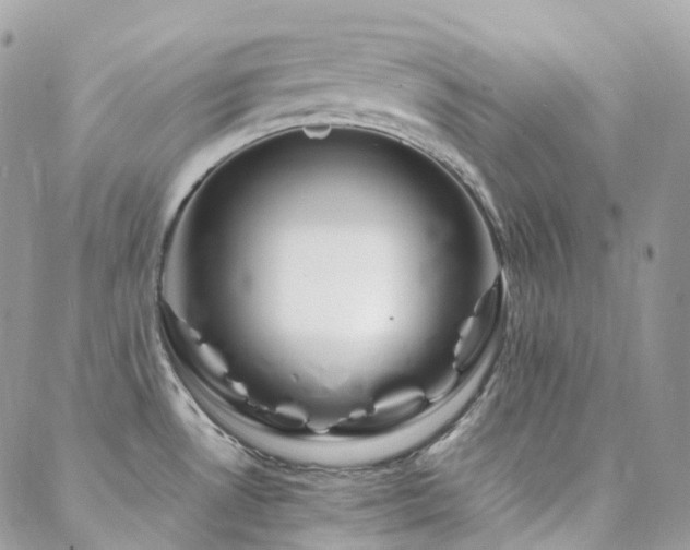 X0000088361530200705221018