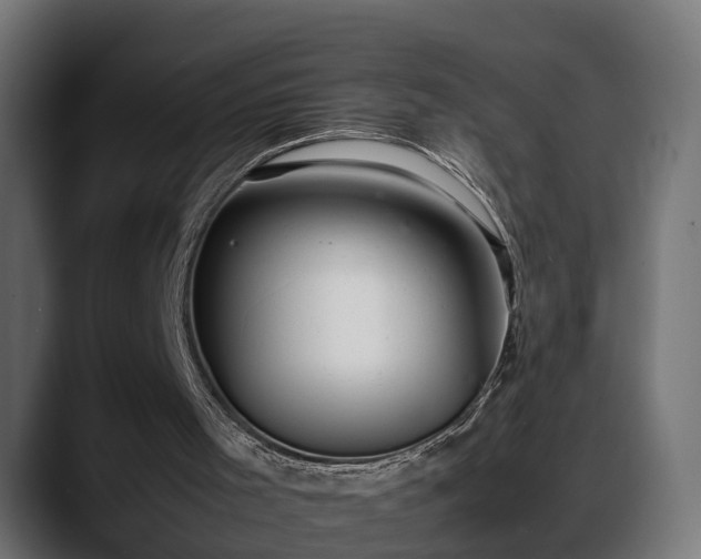 X0000088360001200705291317