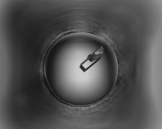 X0000088360002200705291317