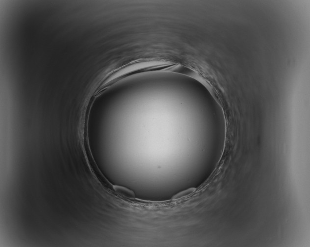 X0000088360003200705291317