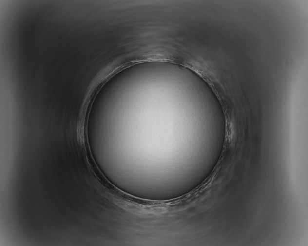 X0000088360004200705291317