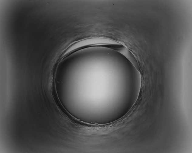 X0000088360005200705291317