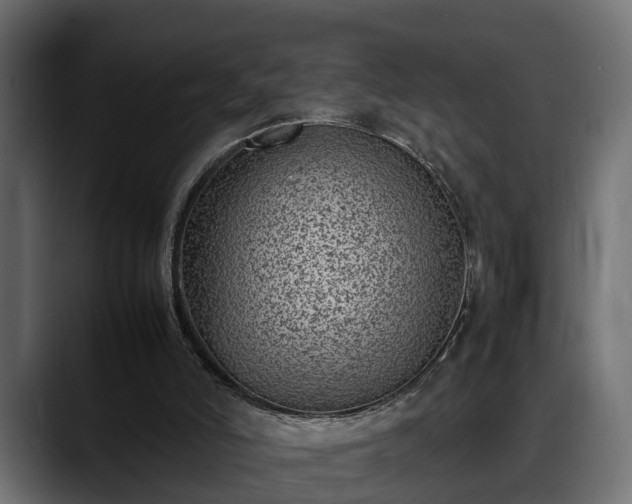 X0000088360006200705291317