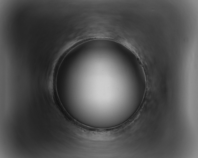 X0000088360008200705291316